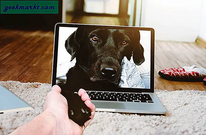 5 Aplikasi Pemantauan Hewan Peliharaan Terbaik untuk Android dan iOS