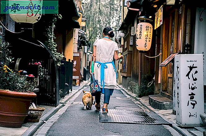 Aplikasi Anjing Berjalan Terbaik untuk Menghasilkan Uang dan Terhubung Dengan Pemilik Hewan Peliharaan